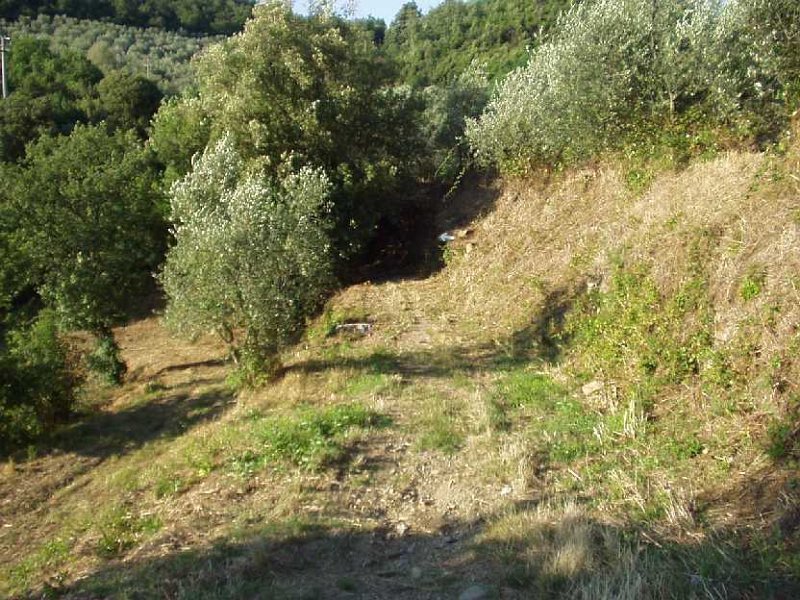 D30 Bivio.JPG - STRADA STERRATA VERSO CIMA ROVETA